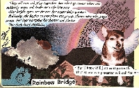 Over the Rainbow Bridge
