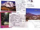 An Appetizer Of Postcards