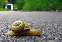 Snail mail :]