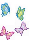Butterflies for Everyone!!!