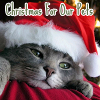 Christmas For Our Pets: International