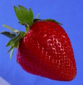 Strawberries ATC