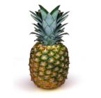 Pineapple ATC