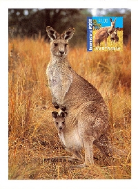 Local Wildlife Postcard Swap
