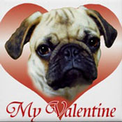 I love my pug!  Valentines Pug PC Swap!