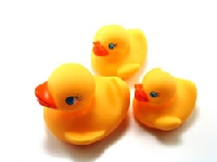 Mini Duckies