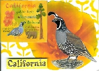 State Bird and State Flower ATC: Missing State