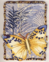 Butterfly in the Wild ATC Swap