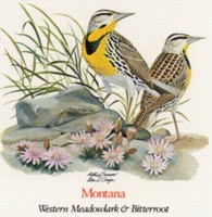 State Bird and State Flower ATC: Montana