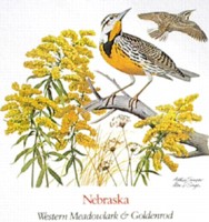 State Bird and State Flower ATC: Nebraska