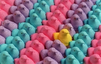 Edibles: Easter Sweet ~ Quick & Inexpensive