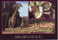 3P's Postcard Swap - Animals