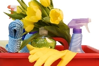 Spring Cleaning Coupon & Supply