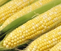 C is for Corn