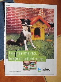 Print advertisements (Europe)
