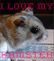 I love my hamster! International Swap