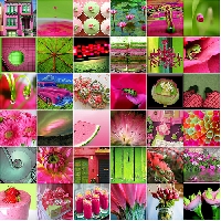 CCG- Pink & Green Inspiration Tag