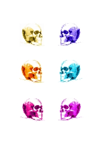 Cool Cranium Skull Swap!