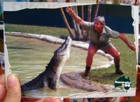 Steve Irwin (Croc Hunter) - A Favorite Memory