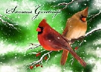 Christmas Card Challenge #2--Bird