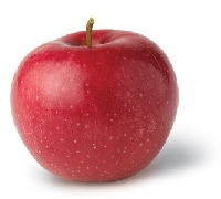 ATC series fruits #1  - Apple