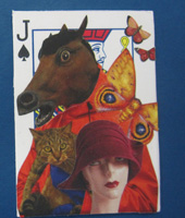 APC Deck - Card #38, Queen of Clubs