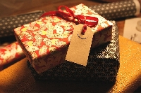 Christmas/Holiday Gift