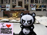 Pandas Take Over NYC!