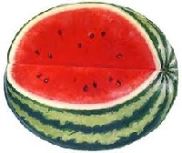 ATC series fruits # 7 - Watermelon