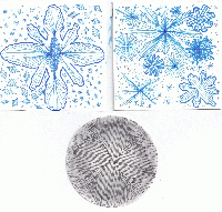 Snowflake inspired Zentangle