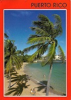 3P's Postcard Swap - Palm Trees