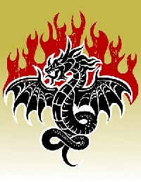 Dragon Themed N&N FBs (new/est)