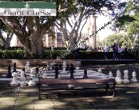 Chess Postcard Swap # 1