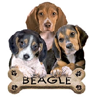 CANCELLED Beagle Lover's International