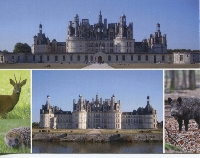 Castle (Chateaux) Postcard Swap # 1