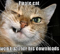 kitty katt lovers e-swap #2: Songs about cats