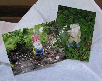 Gnome Post card swap #3