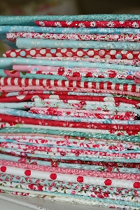 NFS: June Snooty Quilt Shop Fabric Swap