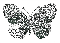 PC Group-Zentangled Butterfly swap