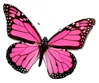 Butterfly inchie swap