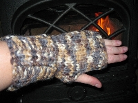 Warm hand = Warm hearts 2008