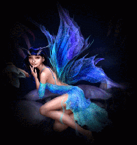 Fairy Series Catch-up : Blue Fairy