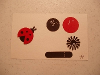 PUNCH ART / CARD CANDY: Insect 