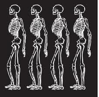 Skeleton Skinny