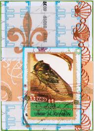 Insect ATC- No Butterflies or Moths!
