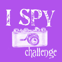 I spy...with my camera -August-
