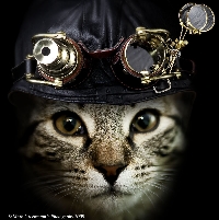 Steampunk Cat ATC