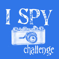 I spy...with my camera  -September-